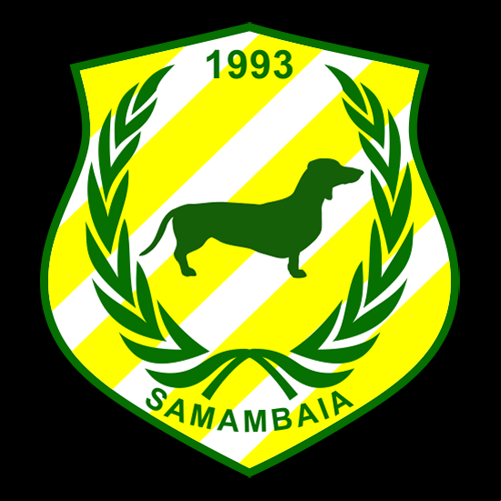 Samambaia
