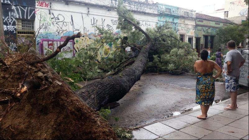 Pelo menos 30 ruas da capital gaúcha ainda estavam bloqueadas por causa de árvores que caíram no temporal de sexta-feira Daniel Isaia/Agência Brasil