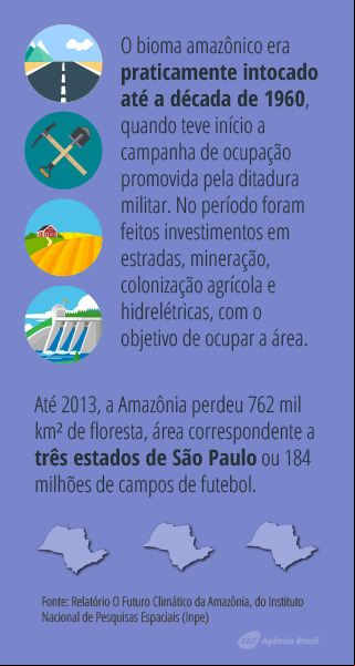 Bioma amazônico 