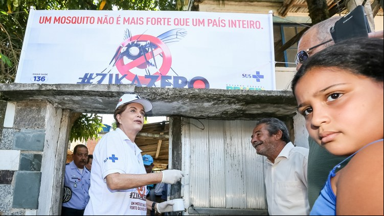 dilma rousseff, dia nacional de combate ao mosquito,