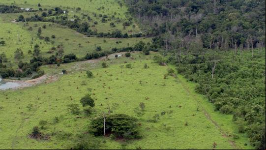 Propriedade rural em Ulianápolis, Pará,