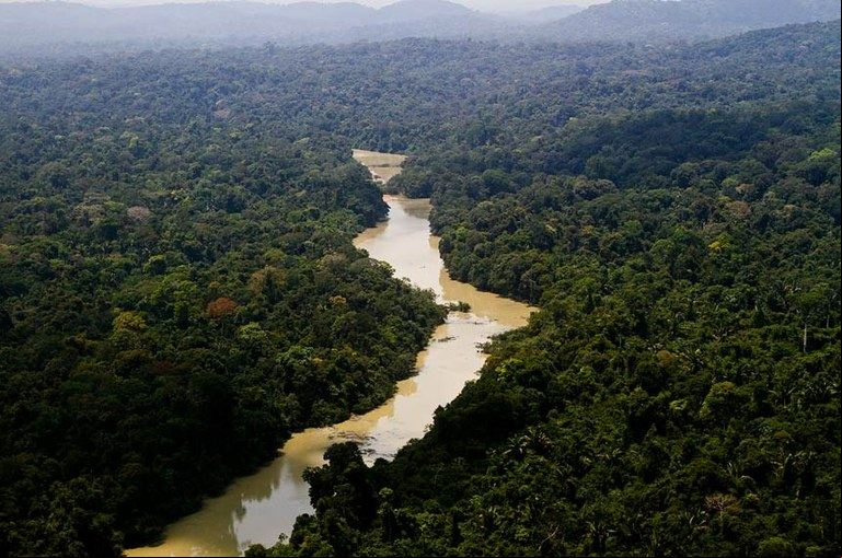 Floresta Jamanxim